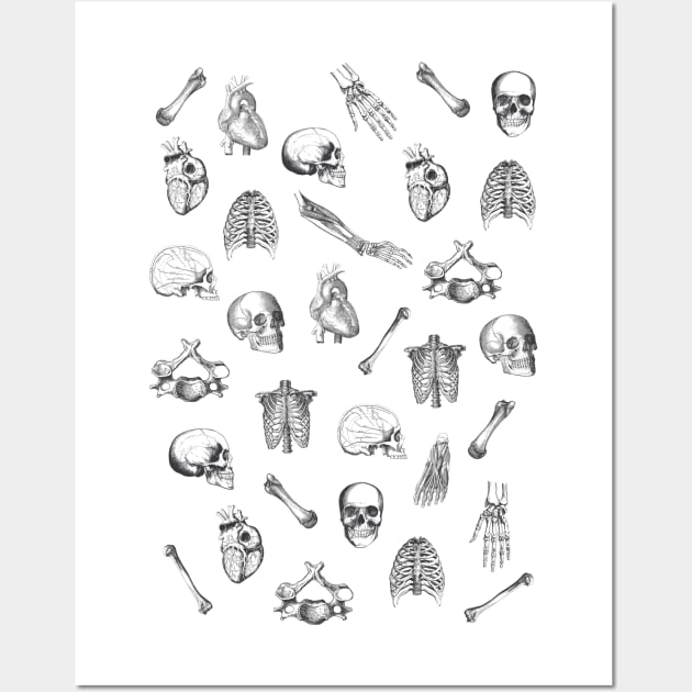 Anatomical Pattern • Vintage Illustrations Wall Art by Rike Mayer